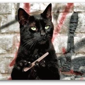 Meet your Posher, Hope